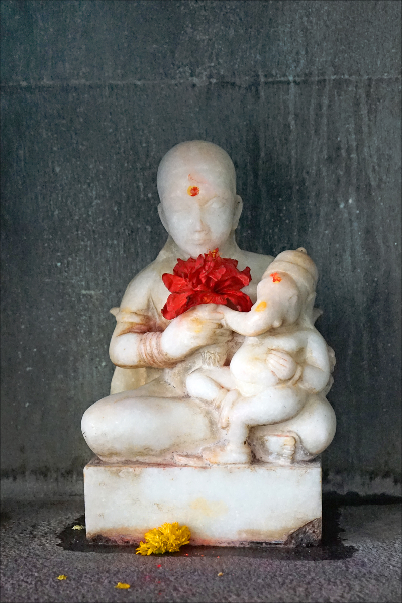 Chirli Siddh Hanuman Mandir, Karera Sector