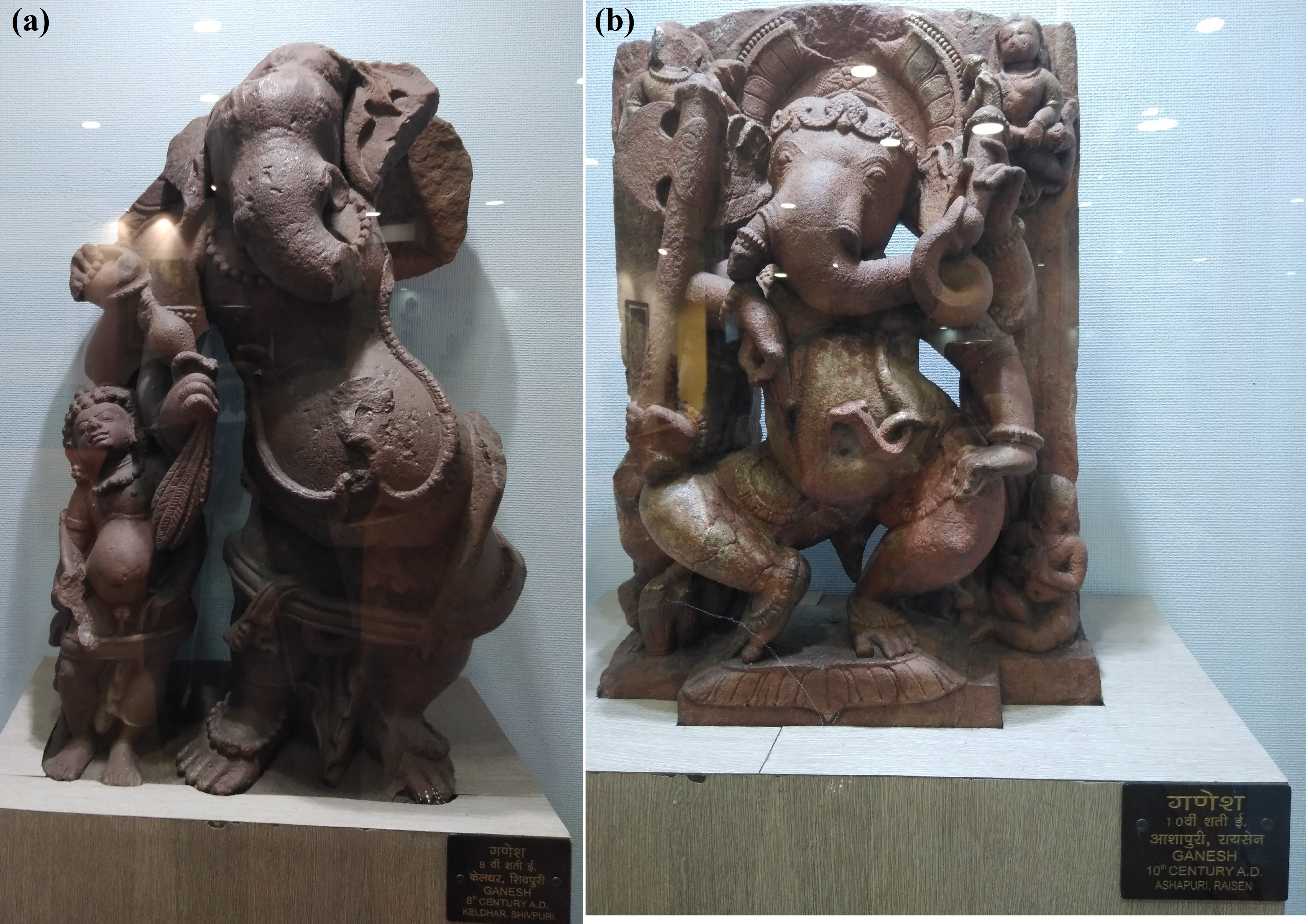 ज़िला पुरातत्व संग्रहालय, शिवपुरी