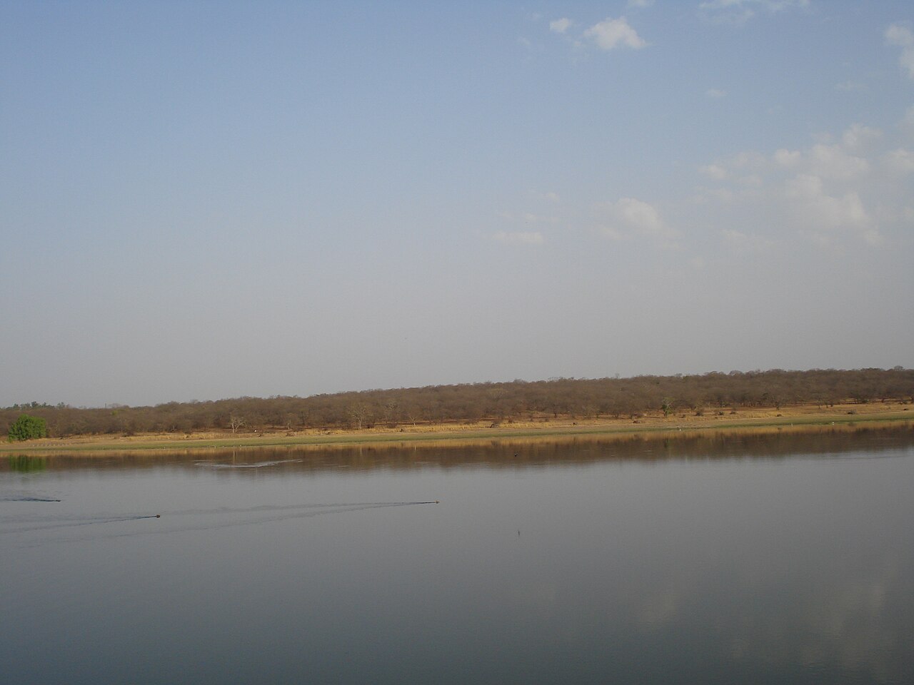 गांधी पार्क एवं टाउन हॉल मैदान (कोर्ट रोड)