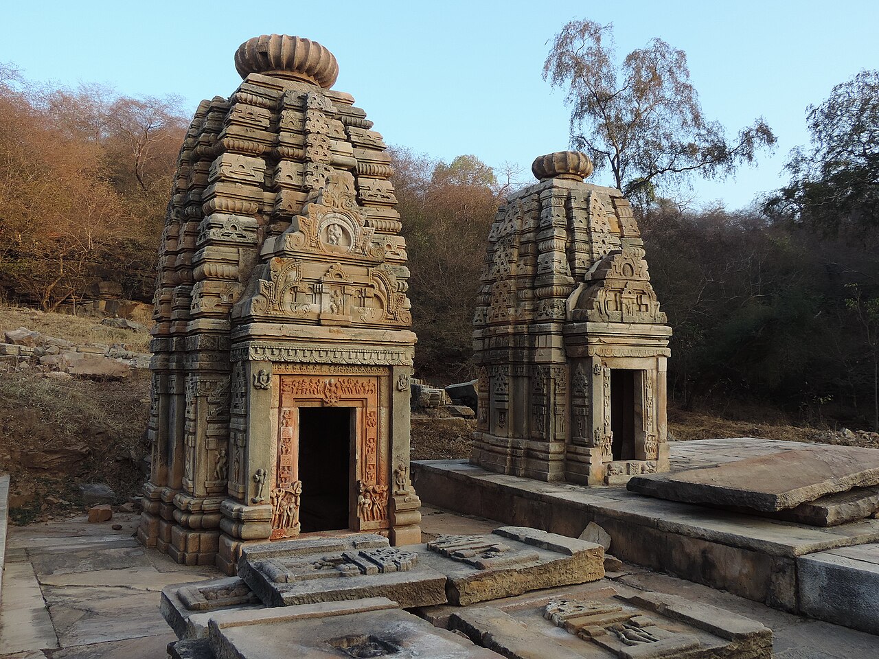काली पहाड़ी वन देवी मंदिर एवं शिव अवशेष, करेरा