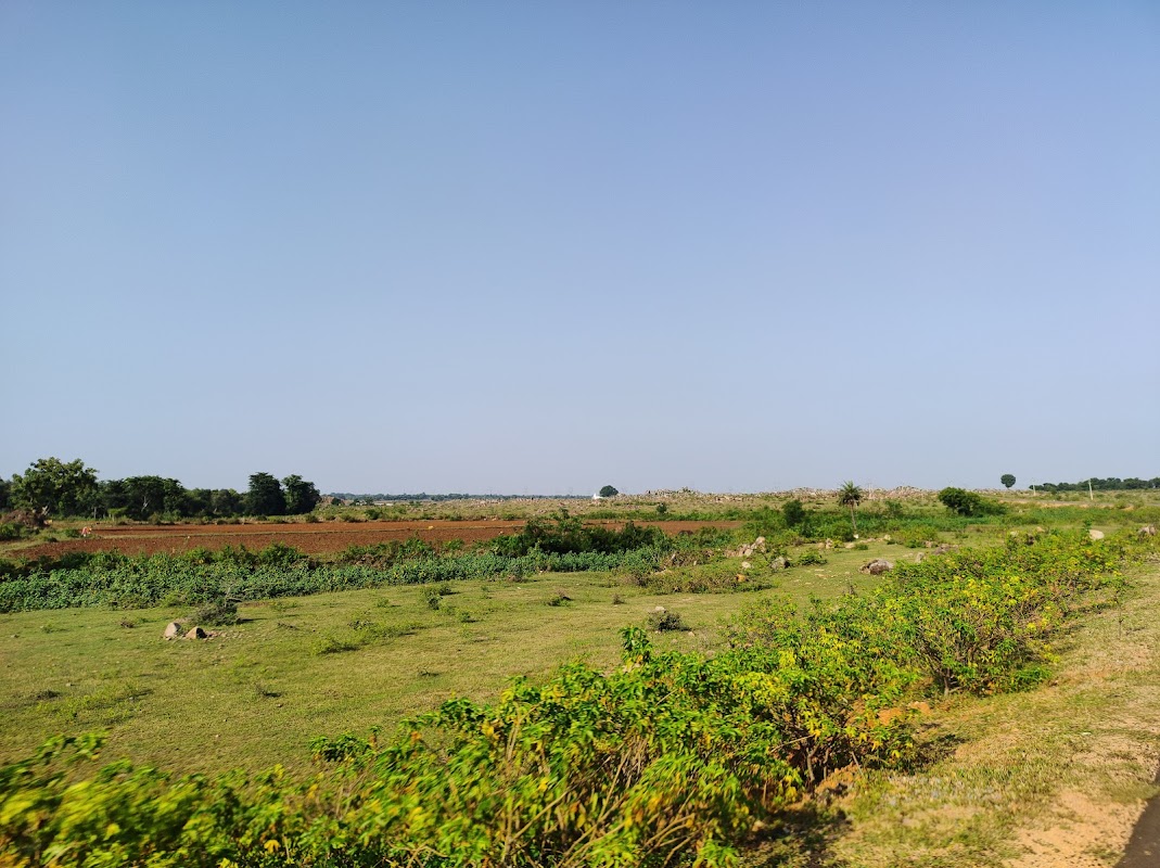 Khaniyadhana Royal Palace & Fortified Complex (Former Bundela State)