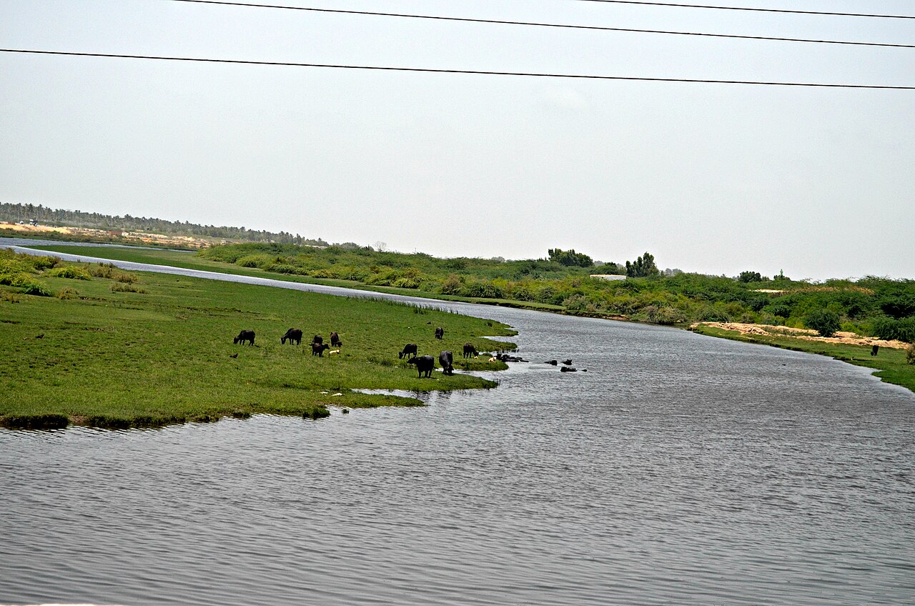 Nehru Park & Jadhav Sagar Lakeside Complex