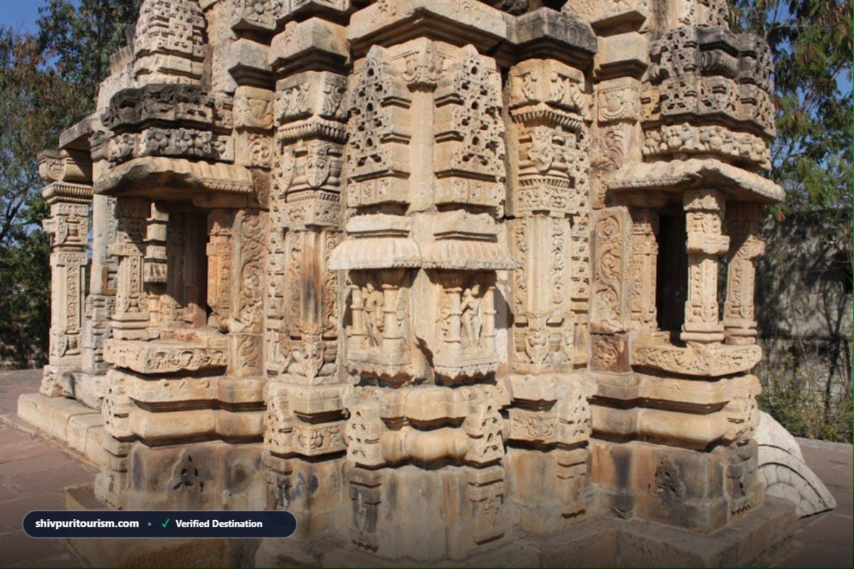 सेसाई का प्राचीन सूर्य मंदिर (ASI संरक्षित)